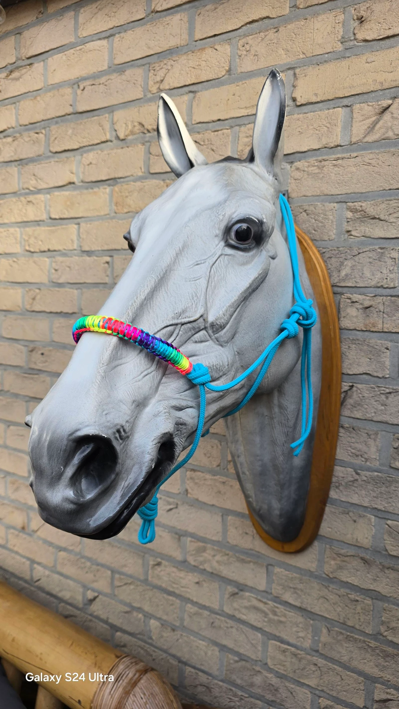 Touwhalster met geknoopt neusbandje in regenboog kleurtjes 